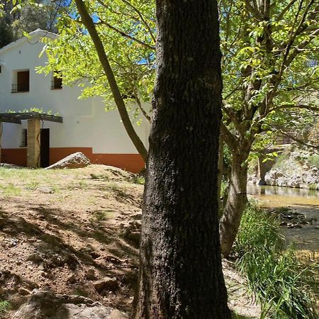 Casa Rural Molino Jaraiz Yeste Zewnętrze zdjęcie