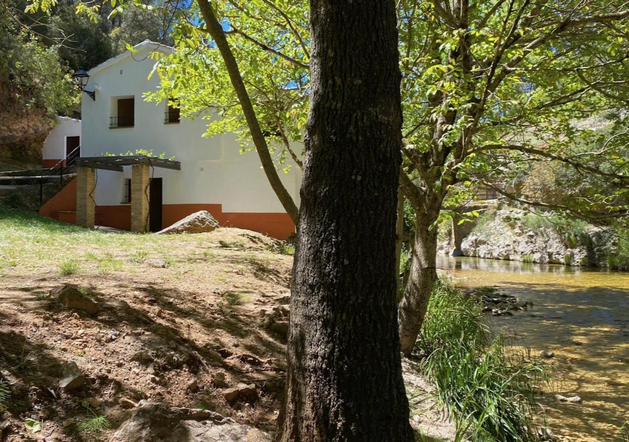 Casa Rural Molino Jaraiz Yeste Zewnętrze zdjęcie